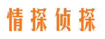 大柴旦捉小三公司